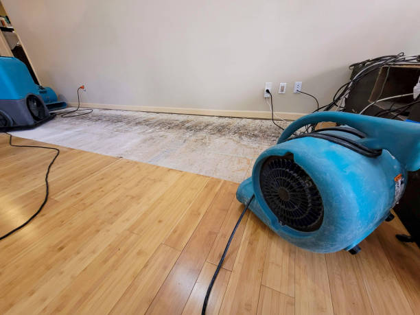 Professional Structural Drying technician working in Jobstown, NJ